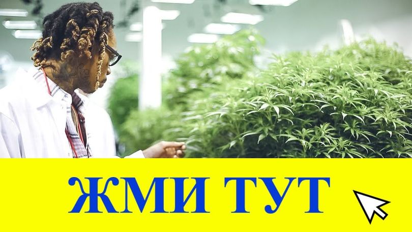 Купить наркотики в Симферополе